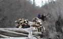 Μπαίνουν παράνομα και ρημάζουν τα δάση - Δύο συλλήψεις στην Καστοριά - Φωτογραφία 1