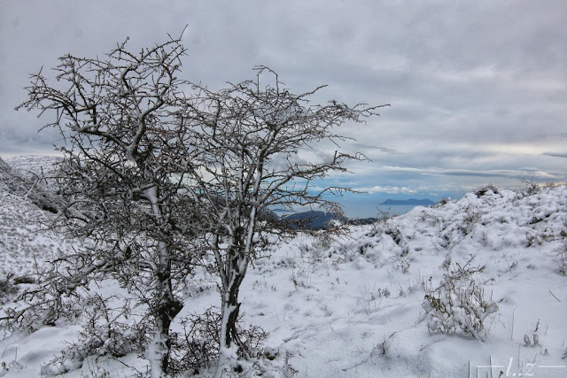 ‘Επεσαν τα πρώτα χιόνια στην Λευκάδα - Φωτογραφία 8