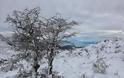 ‘Επεσαν τα πρώτα χιόνια στην Λευκάδα - Φωτογραφία 15