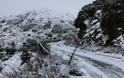 ‘Επεσαν τα πρώτα χιόνια στην Λευκάδα - Φωτογραφία 4