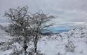‘Επεσαν τα πρώτα χιόνια στην Λευκάδα - Φωτογραφία 8