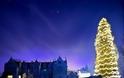 Το μεγαλύτερο φυσικό χριστουγεννιάτικο δέντρο στον κόσμο ύψους 33 μέτρων! - Φωτογραφία 1