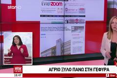 Υψηλή Γέφυρα Χαλκίδας: Σάλος για τον άγριο ξυλοδαρμό υπαλλήλου από οδηγό αυτοκινήτου - Δείτε το ΒΙΝΤΕΟ από τo δελτίο ειδήσεων του STAR