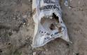 Κύπρος: Σακούλες με νεκρά σκυλιά στο φράγμα του Κούρη