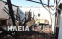 Δυτική Ελλάδα: Άστεγη πενταμελής οικογένεια, αδερφός και μητέρα – Κάηκε το σπίτι τους (ΔΕΙΤΕ ΦΩΤΟ) - Φωτογραφία 4