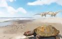 Το επικό ταξίδι μιας προϊστορικής χελώνας