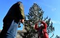 Ρώμη: Αποζημίωση ζητά ο δήμος για το… μαδημένο Χριστουγεννιάτικο δέντρο