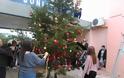 Εορταστική εκδήλωση για τον στολισμό του χριστουγεννιάτικου δέντρου στο ΓΥΜΝΑΣΙΟ-ΛΥΚΕΙΟ ΒΟΝΙΤΣΑΣ (ΦΩΤΟ) - Φωτογραφία 3
