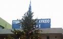 Εορταστική εκδήλωση για τον στολισμό του χριστουγεννιάτικου δέντρου στο ΓΥΜΝΑΣΙΟ-ΛΥΚΕΙΟ ΒΟΝΙΤΣΑΣ (ΦΩΤΟ) - Φωτογραφία 8