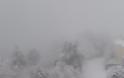 Σφοδρή χιονόπτωση- «Μάχη» να κρατηθεί ανοιχτό το εθνικό δίκτυο - Φωτογραφία 3