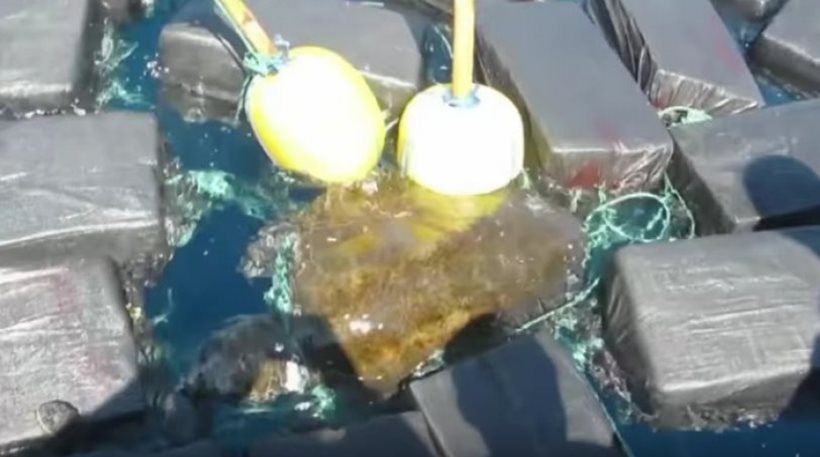 Βίντεο: Διέσωσαν θαλάσσια χελώνα που είχε παγιδευτεί σε πακέτα... κοκαΐνης - Φωτογραφία 1