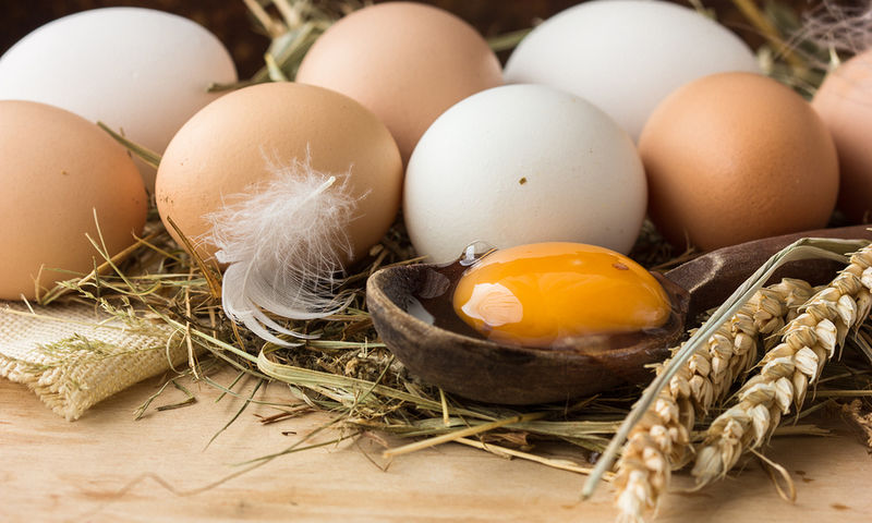 Ολόκληρο αυγό vs ασπράδι: Δείτε τι συνιστούν οι επιστήμονες - Φωτογραφία 1