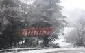 Αχαΐα: Μόνο με αντιολισθητικές αλυσίδες η κυκλοφορία στα ορεινά - Προβλήματα από τη συνεχή χιονόπτωση [photos+video]