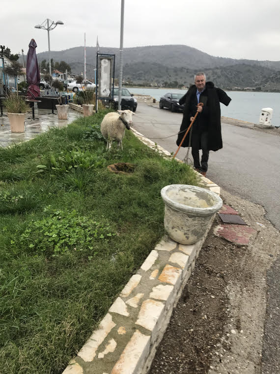 Καυστική σάτιρα του ΠΑΝΑΓΙΩΤΗ ΣΤΑΪΚΟΥ για την εγκατάλειψη του παραλιακού μετώπου του ΑΣΤΑΚΟΥ: Τι φταίει που 'γινες ληστής, τον ρώτησε ο Δικαστής; Τις πταίει που σήμερα ένας Γιατρός έγινε Ακτιβιστής!! - Φωτογραφία 5