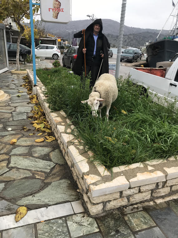 Καυστική σάτιρα του ΠΑΝΑΓΙΩΤΗ ΣΤΑΪΚΟΥ για την εγκατάλειψη του παραλιακού μετώπου του ΑΣΤΑΚΟΥ: Τι φταίει που 'γινες ληστής, τον ρώτησε ο Δικαστής; Τις πταίει που σήμερα ένας Γιατρός έγινε Ακτιβιστής!! - Φωτογραφία 9