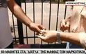 Σοκαριστικές αποκαλύψεις: 60 μαθητές στα δίχτυα της μαφίας των ναρκωτικών - Μαθήτρια λιποθύμησε από τη χρήση [Βίντεο]