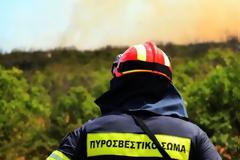 Μιχάλης Μιχαήλ: Ο κάλπικος κυβερνητικός απολογισμός της αντιπυρικής περιόδου