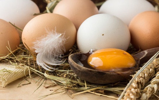 Ολόκληρο αυγό vs ασπράδι: Δείτε τι συνιστούν οι επιστήμονες - Φωτογραφία 1