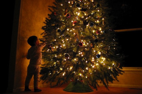 Το πρώτο χριστουγεννιάτικο δέντρο που στολίστηκε στην Ελλάδα - Φωτογραφία 1