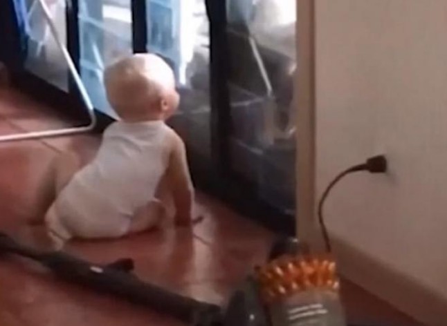 Μωρό βοηθάει το σκυλί να μπει μέσα στο σπίτι κρυφά από τους γονείς [video] - Φωτογραφία 1