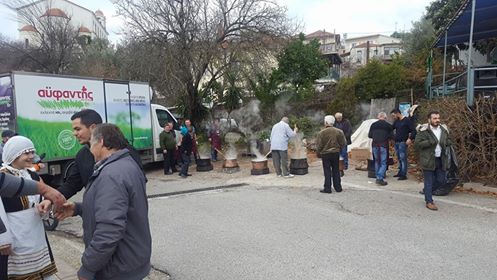 Επιτυχημένη και φέτος η γιορτή τσιγαρίδας στις ΦΥΤΕΙΕΣ (ΝΕΕΣ ΦΩΤΟ) - Φωτογραφία 67