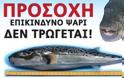 Προσοχή σε αυτό το ψάρι των ελληνικών θαλασσών -  Δεν υπάρχει αντίδοτο αν το καταναλώσετε