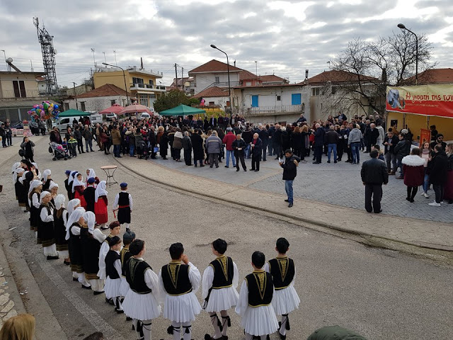 ΚΙ ΑΛΛΕΣ ΦΩΤΟ απο την γιορτή Τσιγαρίδας στις Φυτείες (ΚΑΙ ΒΙΝΤΕΟ) - Φωτογραφία 20