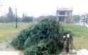 Ναύπακτος: Έκοψαν με αλυσοπρίονο το Χριστουγεννιάτικο δένδρο του δ.δ. Λυγιά (ΔΕΙΤΕ ΒΙΝΤΕΟ-ΦΩΤΟ) - Φωτογραφία 4