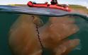 Γιγάντιες μέδουσες στις ακτές του Ντόρσετ! - Φωτογραφία 2