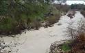 Κατεβάζει πολύ νερό το ποτάμι στο ΒΑΡΝΑΚΑ (ΒΙΝΤΕΟ) - Φωτογραφία 2