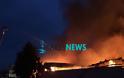 Κάηκε ολοσχερώς εργοστάσιο πλαστικών στη Σίνδο [photos+video] - Φωτογραφία 4