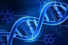 Τo DNA των Ελλήνων και των άλλων Βαλκανικών λαών
