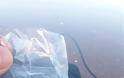 Χανιά: Δείτε που κατέληξε αδέσποτη από μπαλωθιές ηλιθίων στον αέρα - Φωτογραφία 2