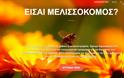 Είσαι μελισσοκόμος; Μια καινοτόμος δωρεάν εφαρμογή από Έλληνα, σου λύνει τα χέρια