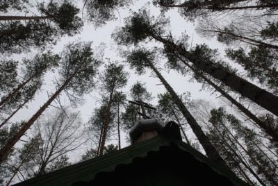 Προσκύνημα στο ιαματικό αγίασμα του ΑΓΙΟΥ ΣΕΡΑΦΕΙΜ του Σαρώφ και στο δάσος μεταξύ Ντιβέεβο και Σαρώφ - Φωτογραφία 11
