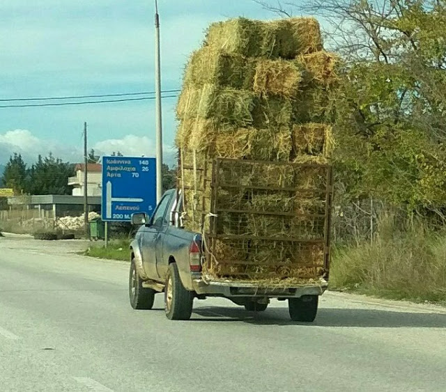 Γιορτινή (κι επικίνδυνη) μεταφορά σανού κάπου έξω από τη Λεπενού! - Φωτογραφία 2