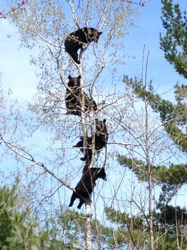 Απίστευτες φωτογραφίες... πέρα από τη λογική - Φωτογραφία 7