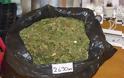 Κοζάνη: Χειροπέδες σε 37χρονο - Καλλιεργούσε σε υδροπονική δεκάδες δενδρύλλια κάνναβης - Φωτογραφία 4