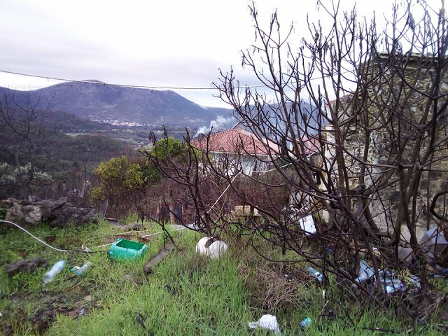 Δείτε όμορφες εικόνες από τα χωριά Αγράμπελο και Πρόδρομο - Φωτογραφία 16