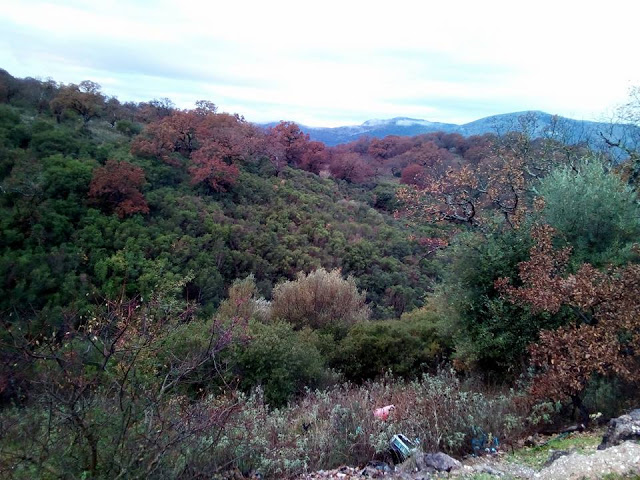 Δείτε όμορφες εικόνες από τα χωριά Αγράμπελο και Πρόδρομο - Φωτογραφία 18