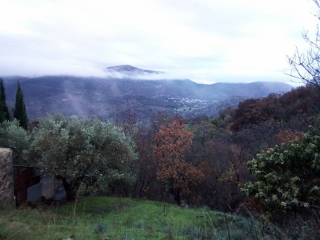 Δείτε όμορφες εικόνες από τα χωριά Αγράμπελο και Πρόδρομο - Φωτογραφία 26