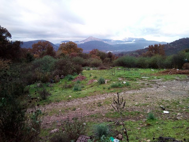 Δείτε όμορφες εικόνες από τα χωριά Αγράμπελο και Πρόδρομο - Φωτογραφία 33