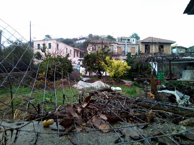 Δείτε όμορφες εικόνες από τα χωριά Αγράμπελο και Πρόδρομο - Φωτογραφία 8