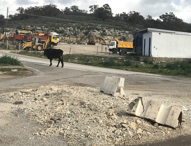 ΠΑΝΑΓΙΩΤΗΣ ΣΤΑΪΚΟΣ: Αγελάς εμήνυσεν το Τσελιγκάτον του Δήμου Ξηρομέρου δια παρακώλυσιν συγκοινωνιών!!! - Φωτογραφία 2