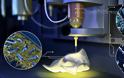 3D εκτυπωτής χρησιμοποιεί μελάνι από βακτήρια