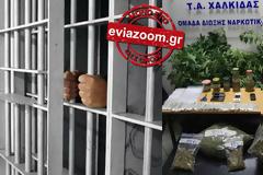 Ερέτρια: Στη φυλακή ο 72χρονος που είχε συλληφθεί για ναρκωτικά και πορνογραφία ανηλίκων! (ΦΩΤΟ)