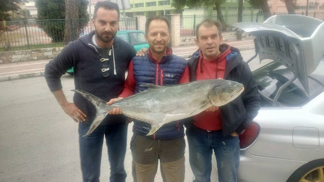 Βονιτσάνος σήκωσε ψάρι 13 κιλά στη Λευκάδα (ΦΩΤΟ) - Φωτογραφία 1