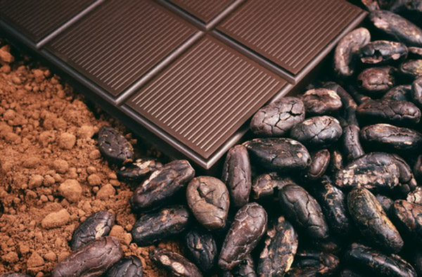 Είδος προς εξαφάνιση θα είναι η σοκολάτα σε 40 χρόνια προειδοποιούν οι επιστήμονες! - Φωτογραφία 1