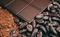 Είδος προς εξαφάνιση θα είναι η σοκολάτα σε 40 χρόνια προειδοποιούν οι επιστήμονες!