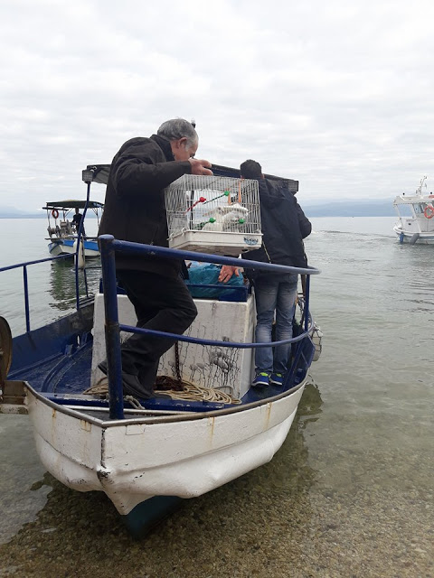 O αγιασμός των υδάτων στα ΠΑΛΙΑΜΠΕΛΑ (ΦΩΤΟ: Στέλλα Λιάπη) - Φωτογραφία 127